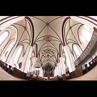 Tangermnde, St. Stephan, Hauptschiff mit Orgel und Blick ins Gewlbe