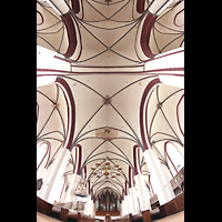 Tangermnde, St. Stephan, Gewlbe und Orgel