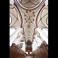 Tangermnde, St. Stephan, Gewlbe und Orgel