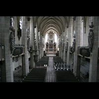 Halle (Saale), Dom, Blick von der Orgelempore ins Hauptschiff