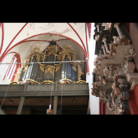 Brandenburg, Dom St. Peter und Paul, Kanzel und Orgel