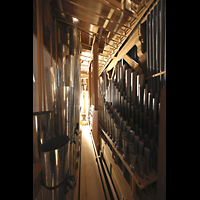 Leiden, Pieterskerk, Pfeifen im Hauptwerk (rechts) und Pedalzungen (links)