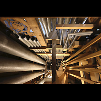 Leiden, Pieterskerk, Blick vom Oberwerk nach unten