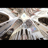 s-Hertogenbosch, Sint Janskathedraal, Vierunggsgewlbe mit Blick ins nrdliche Auerhaus und zur Hauptorgel