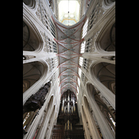 s-Hertogenbosch, Sint Janskathedraal, Hauptschiffgewlbe und Hauptorgel