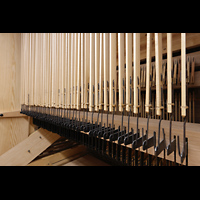 Wroclaw (Breslau), Bazylika sw. Elzbiety (St. Elisabeth), Detail der Tontraktur